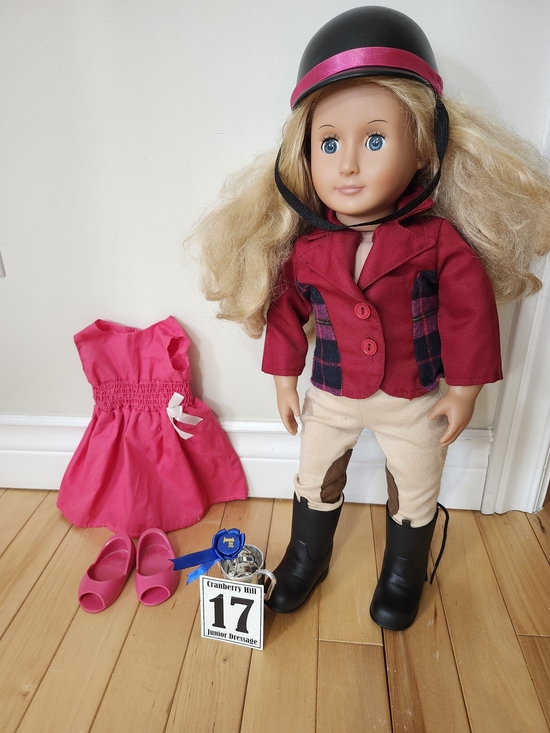 Our Generation Other - Our Generation 18" Equestrian Doll Lily Anna - Riding Outfit, Dress, Accessories